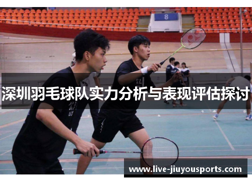 深圳羽毛球队实力分析与表现评估探讨